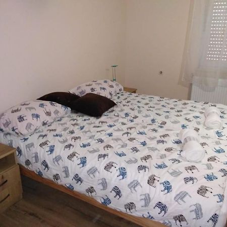 Ferienwohnung Evelin Sobe Backa Topola Exterior foto